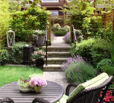 Je huis verkoelen met een nieuwe tuin