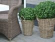 De mooiste kunstplanten voor buiten kopen