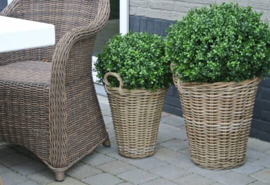 De mooiste kunstplanten voor buiten kopen