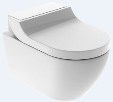 stylen van een kleine toiletruimte