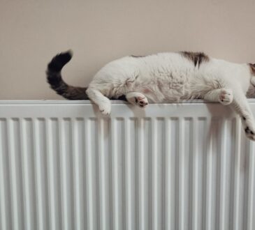 Renoveren: de mogelijkheden voor een warmtepomp