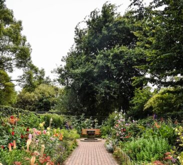 Composiet Vlonderplanken: de perfecte oplossing voor jouw terras