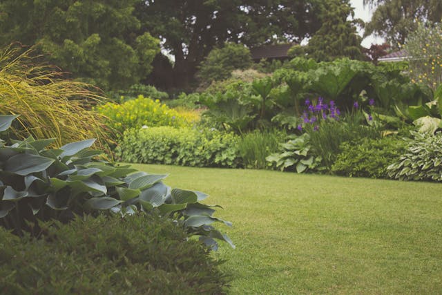 Ziekte- en Plaagpreventie: Hoe houd je je planten gezond?
