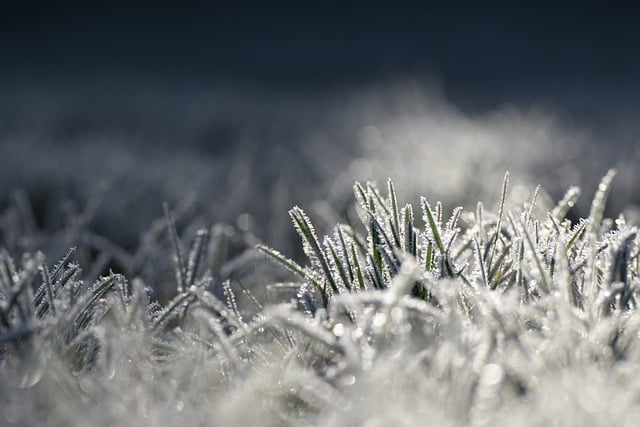 Zo bereid je het gras in de tuin voor op de winter